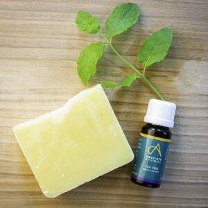 Tea Tree and Mint Soap