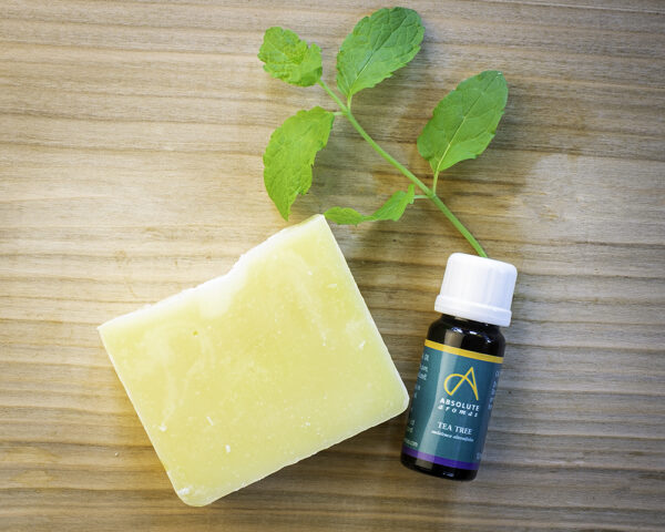 Tea Tree and Mint Soap